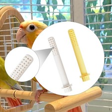 Perchoir pour perruches, supports pour canaris, inséparables et autres