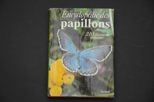 Entomologie papillons - papillons, dr