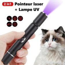 2-en-1 Stylo Pointeur Laser USB Rechargeable + Lampe UV Jouet pour Chat Chien