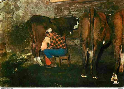 Carte postale animaux - -,