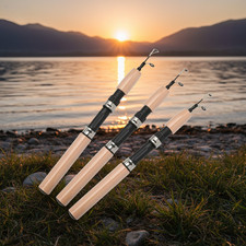 Canne à pêche sur glace en