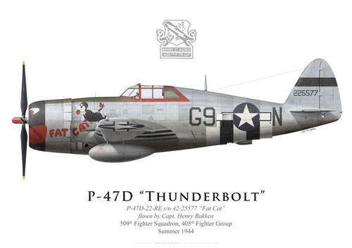 Print 47d thunderbolt - p-47d, capt