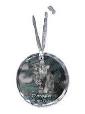 Chat des forêts norvégiennes médaille en cristal avec un chat Art-Dog