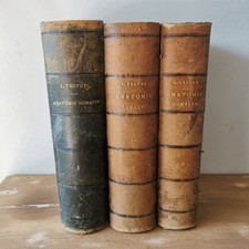 Traité d'Anatomie Humaine de L. Testut 1895 - 3 Tomes Édition Ancienne/ Réf A133