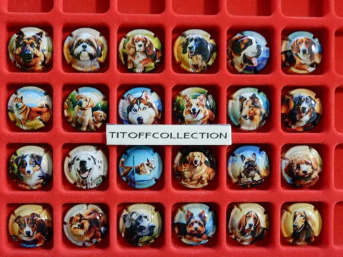 Série capsules de - la,