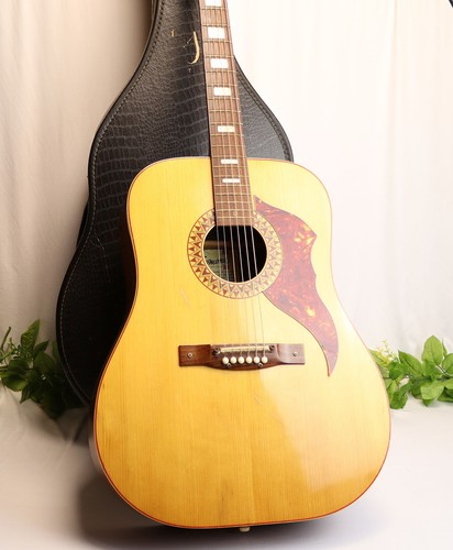 Vintage egmond acoustic - egmond,