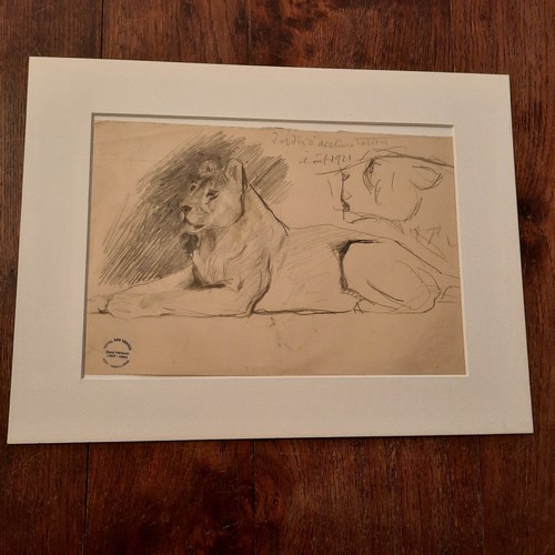 Dessin ancien animalier - ancien, fond