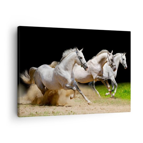 Impression sur toile - toile, 70x50cm