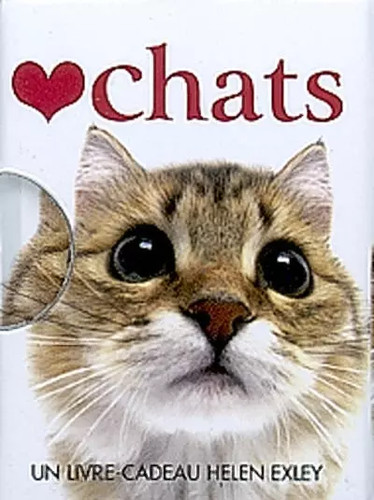 Chats odile dormeuil - odile,