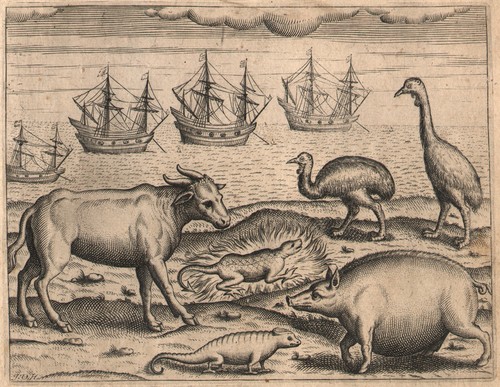 1600 gravure originale - gravure,