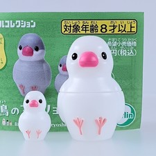 Moineau de Java blanc (moyen