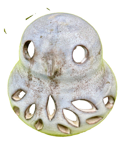 Lampe veilleuse chouette - lampe, en