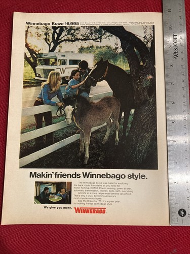 Winnebago brave motor - winnebago,
