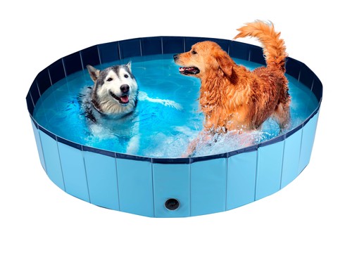 Maxxpro piscine pour - piscine,