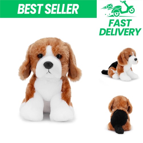 Zappi miles chien beagle - zappi,