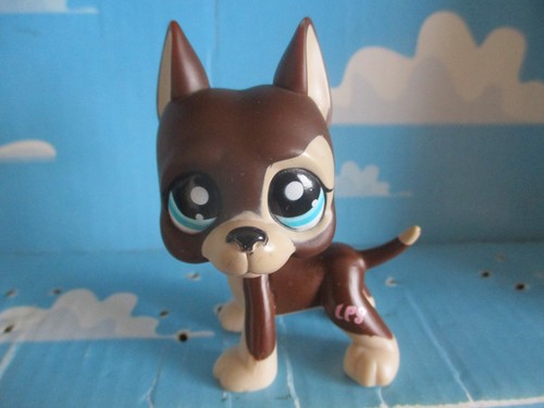 Petshop chien dogue - petshop,
