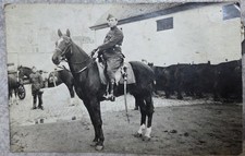 Photo Soldat Armée Belge