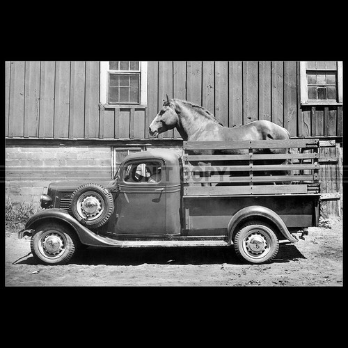 Photo 002040 gmc - photo, t-14
