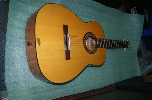 Hofner vintage acoustic - hofner, no