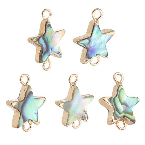 Coquillage abalone charm 5 - coquillage,