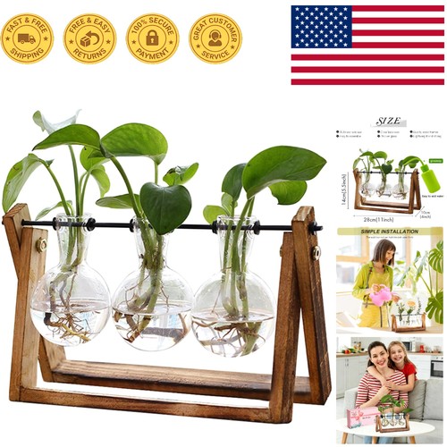 Stylish retro indoor garden - stylish,