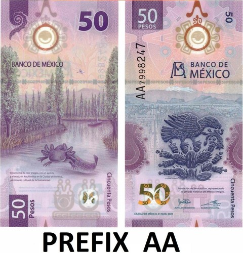 Pesos bill mexico billete - 50,