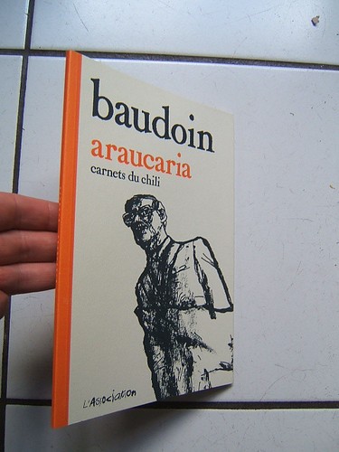 Baudoin araucaria l - /,