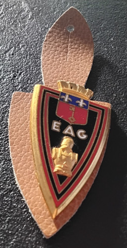 Insigne pucelle militaire - pucelle,