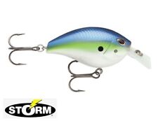 Poisson nageur Storm Arashi