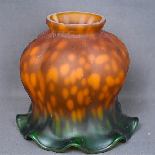 Tulipe verre teinté - tulipe, motif