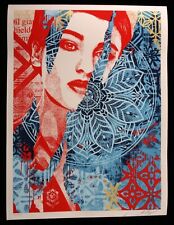 SHEPARD FAIREY Fractured
