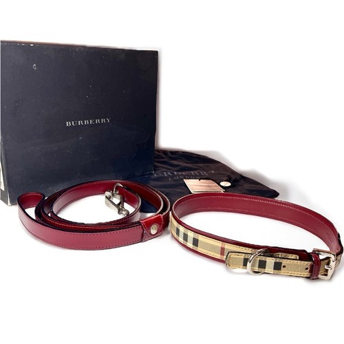 Ensemble collier laisse - collier,
