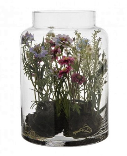 Sia très beau terrarium - très,