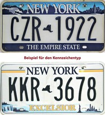 Plaque D'Immatriculation Originale Exelsior / Empire De New York