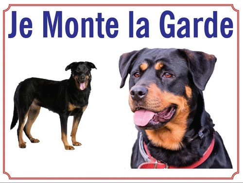 Attention chien je - attention, au