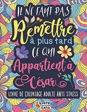 Livre de coloriage Adulte Anti