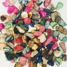 100g Naturel Mer Coque Mosaic