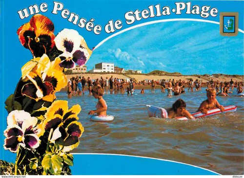 Carte postale stella - -,