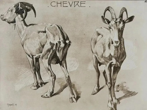 Mathurin meheut la chèvre - mathurin, :