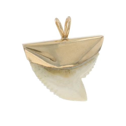 Pendentif dent requin tigre - pendentif, de
