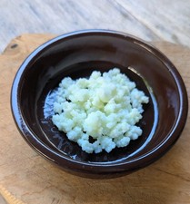 Kéfir de Lait BIO : 20 gr de