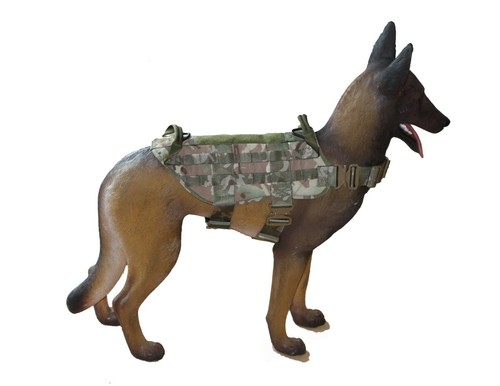 Onie canine harnais chien - onie,