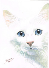 peinture aquarelle originale