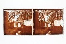 Algérie Biskra Oasis Photo n46L3-3 Plaque Verre Stereo Vintage