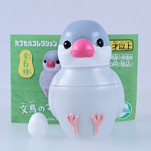 Moineau java argenté - moineau,