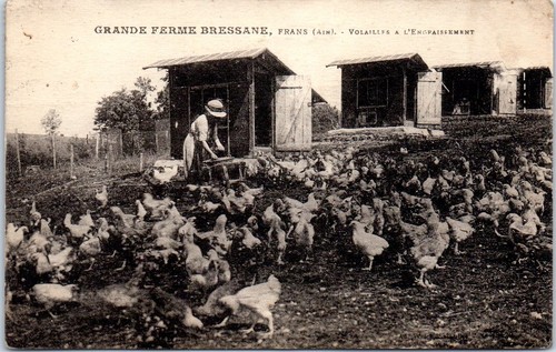 Frans grande ferme - grande,