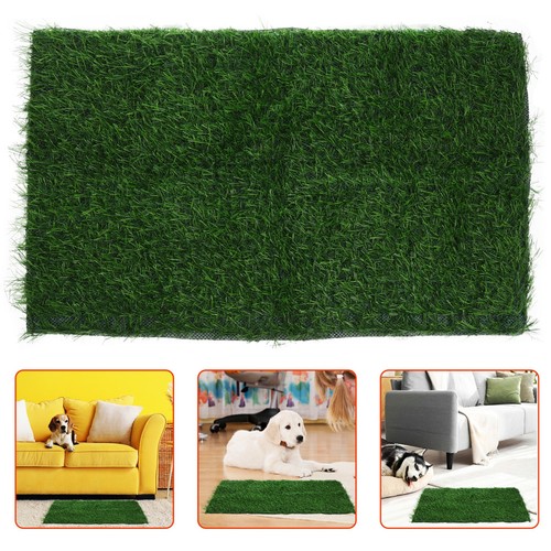 Gazon synthetique herbe - gazon,