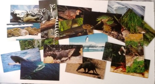 Lot cartes merveilles du - lot, 18