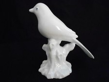 Magnifique oiseau sur - oiseau,