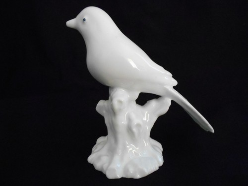 Magnifique oiseau sur tronc - oiseau, d